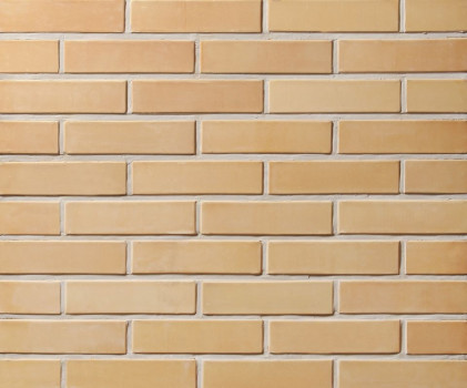 Клінкерна Цегла Sarmite 250х120х65