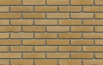Цегла Ручної Формовки Aqua Beige 210 х 100 х 50
