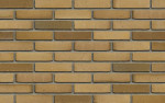 Цегла Ручної Формовки Aqua Beige Redux 210 х 100 х 50