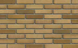 Цегла Ручної Формовки Aqua Beige Redux 210 х 100 х 50